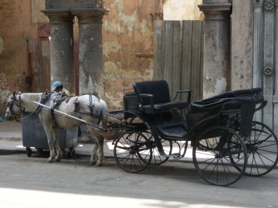 Kuba Pferdekutsche Havanna