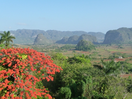 Kuba Reisen Vinales