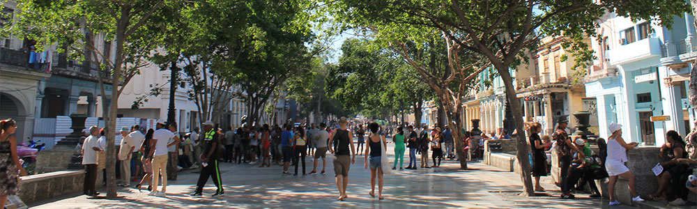Havanna Prado Havanna Prado