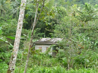 Kuba Aufstieg zum El Yunque in Baracoa