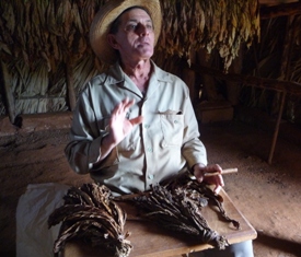 Tabakbauer in Pinar del Rio Kuba Tabakfelder Kuba Zigarren Kuba Tabak Kuba Geschichte Kuba Revolution